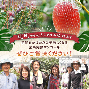 【先行予約/数量限定】完熟マンゴー ２L×２玉（パック）/ 宮崎県産 マンゴー