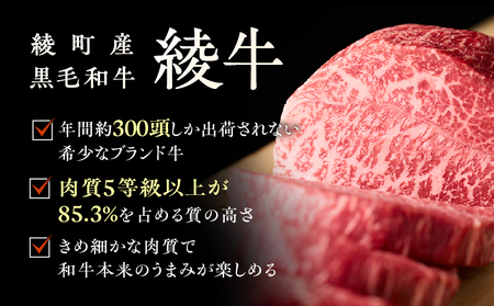 綾のママ・ハンバーグ