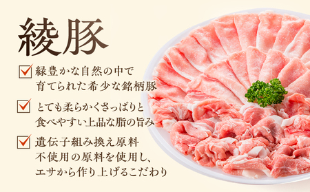 綾のママ・ハンバーグ