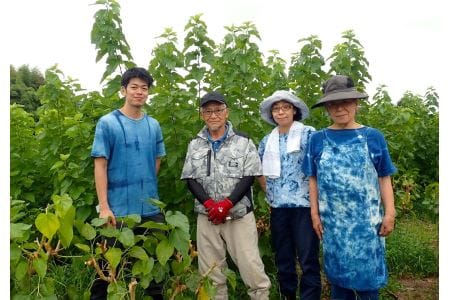 小石丸の幻のシルク！まゆ玉（繭サック）9個入り（27-13） | 宮崎県