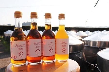 飲むお酢!! 玄米黒酢＆果実酢3種セット 梅 やまもも　きんかん　有機玄米（16-41）