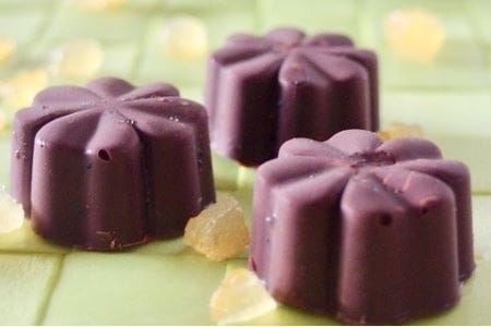 白砂糖不使用オーガニックチョコ100％使用ミニチョコセット＜15個入り＞