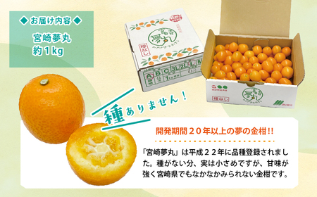【みかん様】おまとめ買い d9a3c1301147eec8e0111b733753f0
