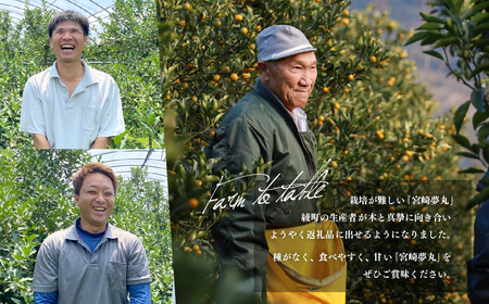 種なし きんかん「宮崎夢丸」 1kg / 完熟 金柑 フルーツ 果物 金柑 希少 国産 産地直送 きんかん キンカン 金柑】