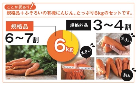 【有機JAS】 ジュースに最適！たっぷりにんじん６kg！固定種！ （訳ありふぞろい規格）