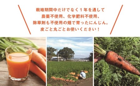 【有機JAS】 ジュースに最適！たっぷりにんじん６kg！固定種！ （訳ありふぞろい規格）