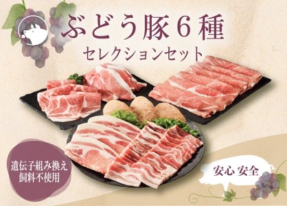 【希少】ブランド豚「綾ぶどう豚」セレクション 6種セット (1.7kg) 【宮崎県産 綾町産 小分け 豚肉 ロース とんかつ 肩ロース 生姜焼き バラ 焼肉 小間切れ もも スライス ハンバーグ ブランド豚 食べつくし 国産 綾ぶどう豚 セレクション セット 小分け バラエティー 詰め合わせ 調理】