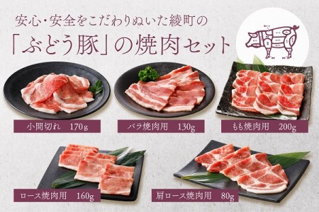 綾ぶどう豚焼肉5種食べ比べセット