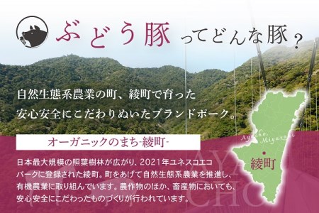 綾ぶどう豚焼肉5種食べ比べセット（22-25）