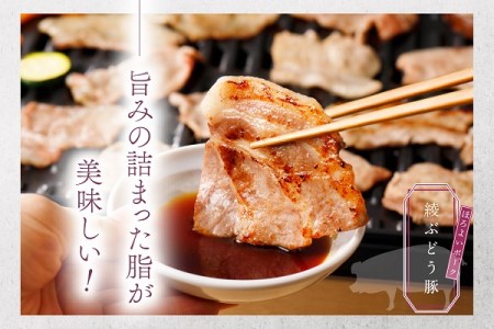 綾ぶどう豚焼肉5種食べ比べセット