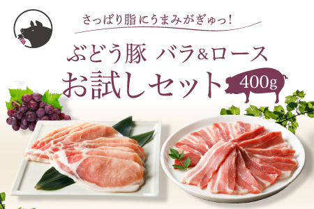 【希少】ブランド豚「綾ぶどう豚」 バラ＆ロースお試しセット【宮崎県産 綾町産 豚肉 ロース しゃぶしゃぶ バラ 焼肉 スライス ブランド豚 食べつくし 食べ比べ　綾ぶどう豚 お試し セット バラエティー 調理】