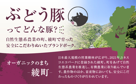 【希少】ブランド豚「綾ぶどう豚」 バラ＆ロースお試しセット【宮崎県産 綾町産 豚肉 ロース しゃぶしゃぶ バラ 焼肉 スライス ブランド豚 食べつくし 食べ比べ　綾ぶどう豚 お試し セット バラエティー 調理】