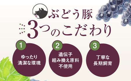 【希少】ブランド豚「綾ぶどう豚」 バラ＆ロースお試しセット【宮崎県産 綾町産 豚肉 ロース しゃぶしゃぶ バラ 焼肉 スライス ブランド豚 食べつくし 食べ比べ　綾ぶどう豚 お試し セット バラエティー 調理】