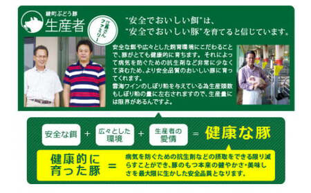 【希少】ブランド豚「綾ぶどう豚」 バラ＆ロースお試しセット【宮崎県産 綾町産 豚肉 ロース しゃぶしゃぶ バラ 焼肉 スライス ブランド豚 食べつくし 食べ比べ　綾ぶどう豚 お試し セット バラエティー 調理】