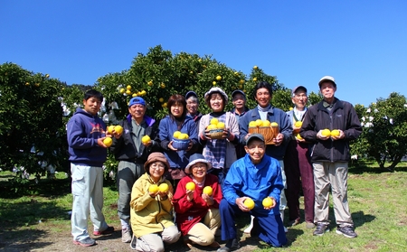 綾の日向夏ドリンク「綾夏ちゃん果汁30%」【缶24本入】