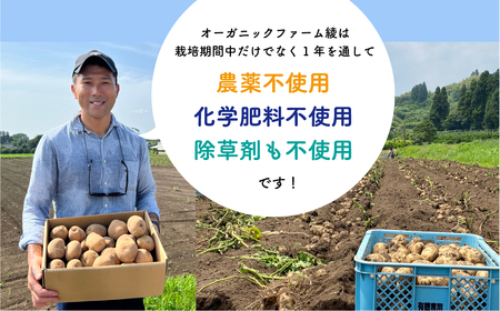 【有機JAS認証】無農薬有機じゃがいも 5kg!【綾町 有機 JAS 無農薬 じゃがいも 5kg セット 採れたて 美味しい 直送 ニシユタカ】