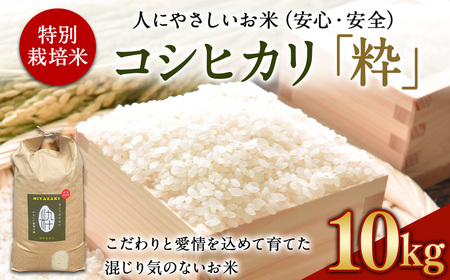 ＜令和6年度 特別栽培米「粋」コシヒカリ 10kg＞ ※入金確認後、翌月末迄に順次出荷します。【c855_kh_x5】  お米 米 白米 精米 宮崎県 高鍋町