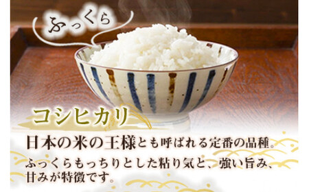 ＜令和6年度 特別栽培米「粋」コシヒカリ 10kg＞ ※入金確認後、翌月末迄に順次出荷します。【c855_kh_x5】  お米 米 白米 精米 宮崎県 高鍋町