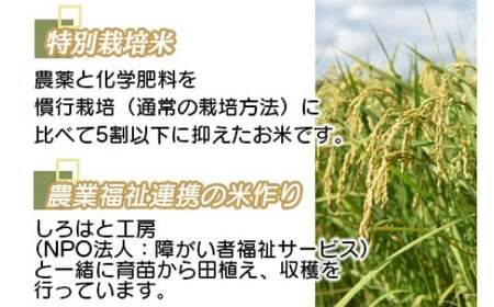 ＜令和6年度 特別栽培米「粋」コシヒカリ 10kg＞ ※入金確認後、翌月末迄に順次出荷します。【c855_kh_x5】  お米 米 白米 精米 宮崎県 高鍋町