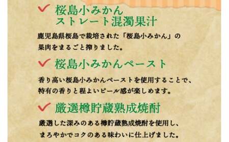 ＜九州限定 寶CRAFT クラフトチューハイ 桜島小みかん 330ml×12本＞※入金確認後、翌月末迄に順次出荷します。【c254_kr_x2】