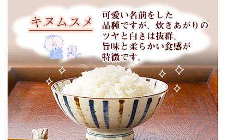 令和5年度 特別栽培米「粋」キヌムスメ 5kg＞※入金確認後、翌月末迄に
