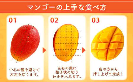 ＜宮崎県 完熟マンゴー 太陽のタマゴ 4L×2玉(合計 約1kg)＞  ※2025年5月上旬～7月中旬迄に順次出荷します。【c657_dm_x5】 マンゴー 果物 くだもの フルーツ 完熟 南国