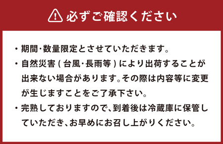 ＜宮崎県産 完熟マンゴー 3L×2玉(合計 約900g)＞ ※2025年5月上旬～7月中旬迄に順次出荷します。【c792_dm_x4】 マンゴー 果物 くだもの フルーツ 完熟 南国