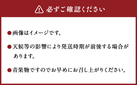 ＜宮崎県産完熟マンゴー 4L×1玉（510g以上）＞2026年4月中旬～7月下旬までに順次出荷【c1129_mm_x2】