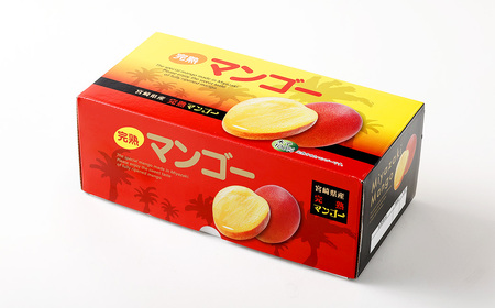 ＜宮崎県産完熟マンゴー 4L×1玉（510g以上）＞2026年4月中旬～7月下旬までに順次出荷【c1129_mm_x2】