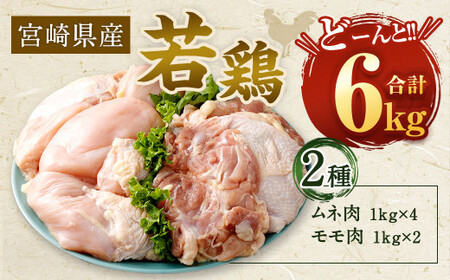＜【6月発送】宮崎県産若鶏6kgセット＞【c430_hn_x3-jun】