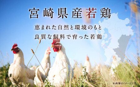 ＜【7月発送】宮崎県産若鶏6kgセット＞【c430_hn_x3-jul】