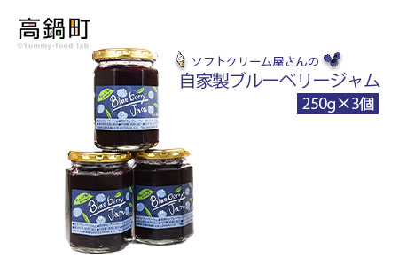<自家製ブルーベリージャム250g×3>2か月以内に順次出荷【c584_sn】
