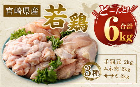 【8月発送】＜宮崎県産若鶏3種 計6kgセット＞【c504_hn_x3-aug】