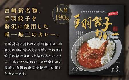 〈 みやざき餃子新名物 手羽餃子カレー 5箱 〉翌月末迄に順次出荷 カレー 餃子 ギョウザ ギョーザ 手羽餃子 レトルト 常温保存 餃子の馬渡【c1260_mw】