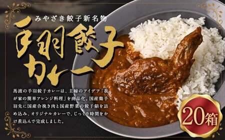 〈 みやざき餃子新名物 手羽餃子カレー 20箱 〉翌月末迄に順次出荷 カレー 餃子 ギョウザ ギョーザ 手羽餃子 レトルト 常温保存 餃子の馬渡【c1262_mw】