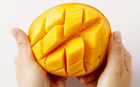 ＜宮崎県産完熟マンゴー 3L×2玉（約900g）＞2026年4月中旬～7月下旬までに順次出荷【c1393_mm_x1】 果物 くだもの フルーツ アーウィン マンゴー デザート 甘味 完熟 宮崎