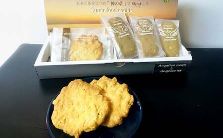 ＜からだが喜ぶヒュウガトウキ健康セット＞入金確認後、翌月末までに順次出荷【c1389_cr】  3種 セット アンジェリカティー 10包 オートミールクッキー エナジーバー 各5個