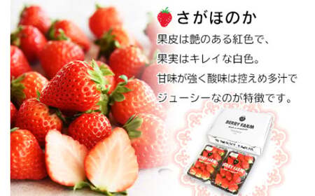 ＜宮崎県産 有機いちご250g×2パック＞※入金確認後、2026年1月下旬～3月上旬までに順次出荷【c768_dm_x5】