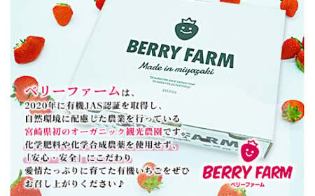 ＜宮崎県産 有機いちご250g×2パック＞※入金確認後、2026年1月下旬～3月上旬までに順次出荷【c768_dm_x5】