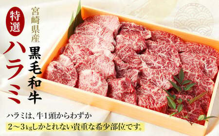 <宮崎県産黒毛和牛特選ハラミ500g>2026年12月末迄に順次出荷【c610_tf_x2】