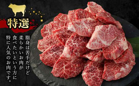 <宮崎県産黒毛和牛特選ハラミ500g>2026年12月末迄に順次出荷【c610_tf_x2】