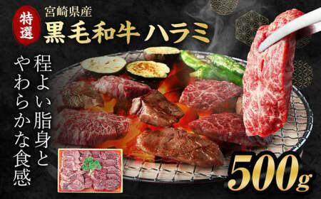 <宮崎県産黒毛和牛特選ハラミ500g>2026年12月末迄に順次出荷【c610_tf_x2】