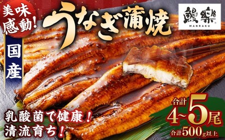 極上鰻！うまい！＜うなぎ 国産 うなぎ蒲焼 4～5尾 計500g以上＞【c1451_mn】ふるさと納税 うなぎ 高級 長蒲焼 鰻 夏バテ防止 ウナギ 鰻 かば焼き 蒲焼き 丑の日 タレ 宮崎県産 国産 九州産 宮崎県 高鍋町 送料無料