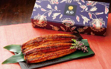 極上鰻！うまい！＜うなぎ 国産 うなぎ蒲焼 4～5尾 計500g以上＞【c1451_mn】ふるさと納税 うなぎ 高級 長蒲焼 鰻 夏バテ防止 ウナギ 鰻 かば焼き 蒲焼き 丑の日 タレ 宮崎県産 国産 九州産 宮崎県 高鍋町 送料無料