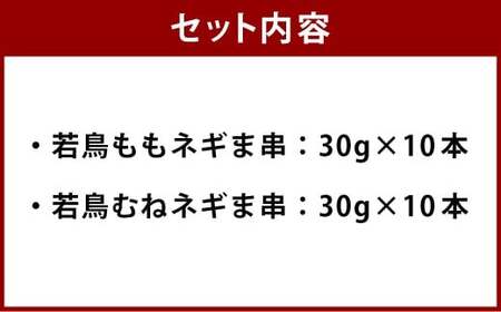 ＜宮崎県産若鳥ネギま詰め合わせ 20本＞翌月末迄に順次出荷【c1480_kw】 焼き鳥 焼鳥 鶏 串焼き 鶏串 盛合わせ 若鳥 手刺し もも肉 ムネ肉 ねぎま ネギま 2種 各10本 冷凍 国産 宮崎県 高鍋町