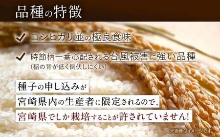 【学校給食提供】<令和7年産 宮崎県産夏の笑み(無洗米)5kg×1袋 計5kg チャック付き米袋>お申込みの翌月末までに順次出荷 【c1490_ku_x1】 米 お米 白米 無洗米 宮崎県 高鍋町