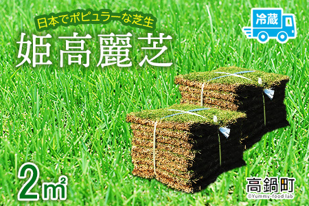＜姫高麗芝 2平方メートル＞2か月以内に順次出荷【c620_hg_x2】