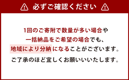 ＜姫高麗芝 2平方メートル＞2か月以内に順次出荷【c620_hg_x2】