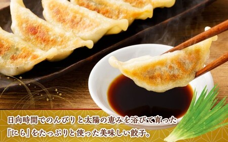 ＜にら農家の『にらぎょうざ』 30個（約240g （10個）×3パック）＞翌月末迄に順次出荷 にらぎょうざ にら餃子 にらギョウザ ニラ餃子 餃子 ぎょうざ ギョウザ 惣菜 おかず 韮 ニラ 冷凍