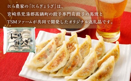 ＜にら農家の『にらぎょうざ』 30個（約240g （10個）×3パック）＞翌月末迄に順次出荷 にらぎょうざ にら餃子 にらギョウザ ニラ餃子 餃子 ぎょうざ ギョウザ 惣菜 おかず 韮 ニラ 冷凍